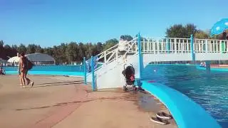 NOELANDIA