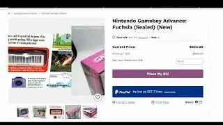 Shopgoodwill.com Auctions: 