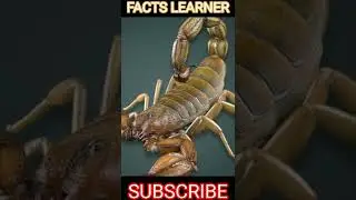 99 प्रतिशत लोग ये बाते नही जानते 😮 || Amazing facts||facts video || #shorts #viral