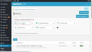 How To Backup The WordPress Database in BackupBuddy