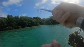 INSHORE FISHING MIAMI Florida | Salty FRESH Fishing Charters