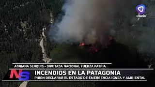 Diputados de Fuerza Patria piden declarar el estado de emergencia ígnea y ambiental