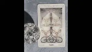 A Card For You, A Read From Me - Four of Cups, Luxury SOThoth  #tarot #shatteredorbtarot #witch