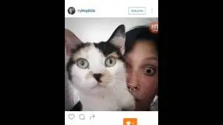 Instagram Tee-Shirt Marketing For Teespring BD