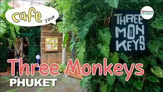 🍹 Three Monkeys Cafe & Restaurant Phuket, Thailand in a rainy day [4K]