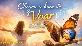 Aprendi a Voar (Metamorfose) | 2 Vers&otilde;es Que V&atilde;o Tocar Sua Alma (Folk & Orquestral)