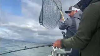 Halibut fishing in San Francisco Bay with Cap Ross
