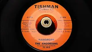 The Angorians - Raindrops - Tishman &ndash; 907