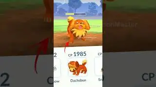 Leader SIERRA vs DACHSBUN in Pokemon GO.