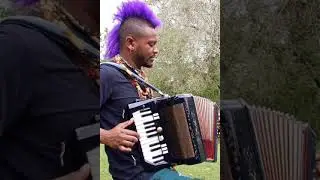 Polka punk funk