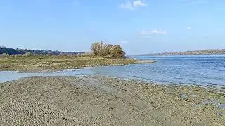 Surduk Dunav