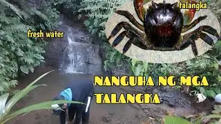 FOOD TRIP SA BUKID | nanguha ng talangka | waray UPAY na BLAGGER