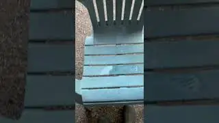 Restoring Faded Plastic Chair #restoration #lifehacks