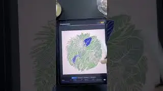 Procreate tip: find the centre of the canvas #shorts