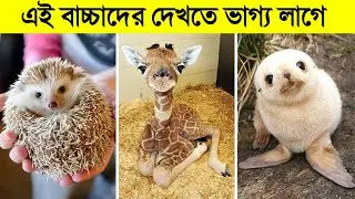 বিশ্বের 10 টি সবচেয়ে অদ্ভুত প্রাণীর বাচ্চা | Top 10 Rarest Baby Animals