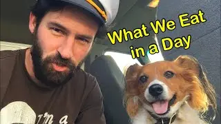 What my dog and I eat in a day