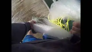 Catching Bait for Bluecat bank trip