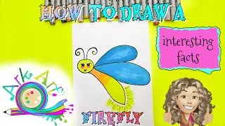 How To  Draw A Firefly - Interesting Facts About Fireflies