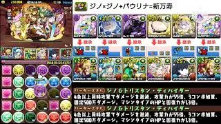 ジノ×ジノ+パウリナ=新万寿 #パズドラ #新万寿チャレンジ