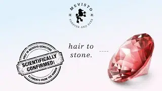 MEVISTO - hair to stone / Haar zu Stein