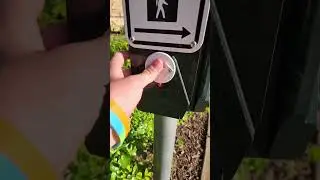 crosswalk signal sounds