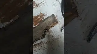 Fazendo a coronha da 28 cbc #tiro #ca&ccedil;a #muni&ccedil;&atilde;o #viral #espingarda #shorts #short #geco #rossi #22