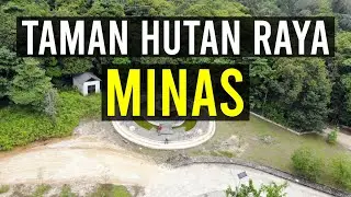 GOWES KE TAMAN HUTAN RAYA MINAS, PEKANBARU, RIAU