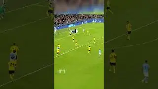 The smurf cat strikes again😂⚽️ #football #trending #shorts #smurfcat #mancity