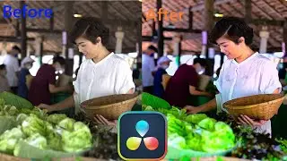 Color Grading in Davinci Resolve | Before and After Color Grading |