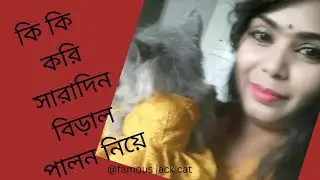 Oh no,সারাদিন কি কি করি আমার বিড়ালের পিছনে|#cat |#catproblems