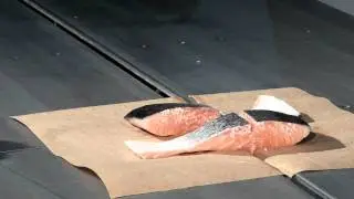 Water-jet cutting fish salmon