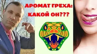  Сравнение Laurent Mazzone Sine Die и Amouroud Oud du Jour