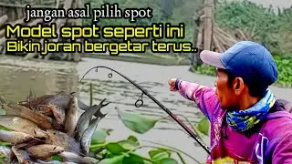Ciri-ciri Spot tempat Ikan keting berkumpul.. Auto strek terus