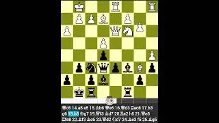 Classical SCHEVENINGEN - Gata Kamsky vs Sergei Movsesian | Corus 2009 Round 13