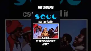 S.O.U.L. vs The Chop 2 #shorts #sampledbeats #samplechop