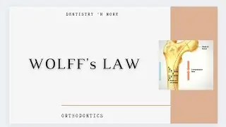 WOLFF'S LAW
