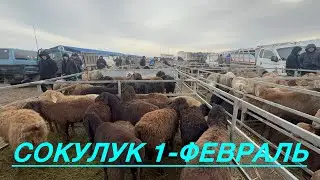 Кой базар сокулук мал базары 