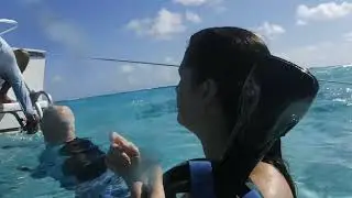 Feeding Stingrays in Grand Cayman