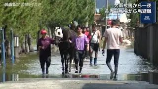 大雨から一夜　金沢競馬場・厩舎浸水で馬を避難