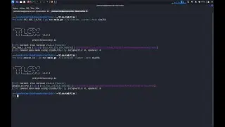 TLSx Explained | Detecting SSL/TLS Certificate Misconfigurations Like a Pro 🔐