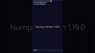 Check Your Numpy Version 😳 