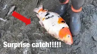 I Caught the King of the Pond!!!
