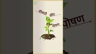 इस रक्षाबंधन, खेती को मिला उसका डिजिटल भाई &ndash; GYAN AI | AgriDoot App