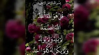 💖Surah al ikhlas 🥀✨best voice|tilawat#quran#islamic video...