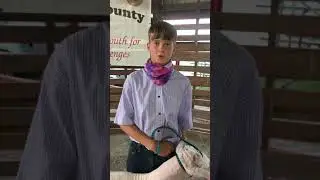 Emryn&rsquo;s sale video for lamb 2020