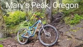 Mountain Biking the Tallest Peak in Oregon's Coastal Range! Mary's Peak, Corvallis, Oregon
