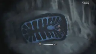 Monster Hunter WiIds《魔物獵人 荒野》 -  Catch Gillopod twic at once ～ 一次抓到到兩隻虛無咚