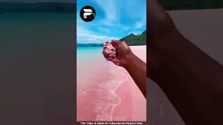 Amazing Places in the World | Unknown Facts Malayalam | #shorts #ytshorts