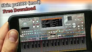 Skin org 2020/2021/2022 Pa1000 (mod)