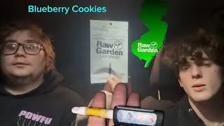 Raw Garden: New Jersey (Blueberry Cookies) 1G Cart Review